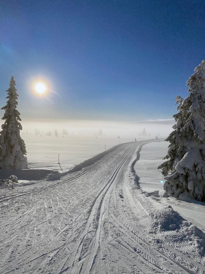 Lys Og Moderne Leilighet Rett Ved Skiloypa Pa Nordseter - Kort Vei Til Sjusjoen, Lillehammer Og Hafjell - Dyr Ikke Tillatt 外观 照片