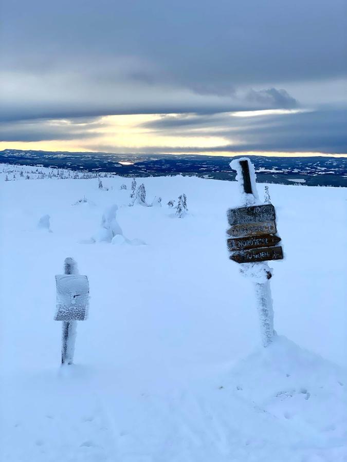 Lys Og Moderne Leilighet Rett Ved Skiloypa Pa Nordseter - Kort Vei Til Sjusjoen, Lillehammer Og Hafjell - Dyr Ikke Tillatt 外观 照片