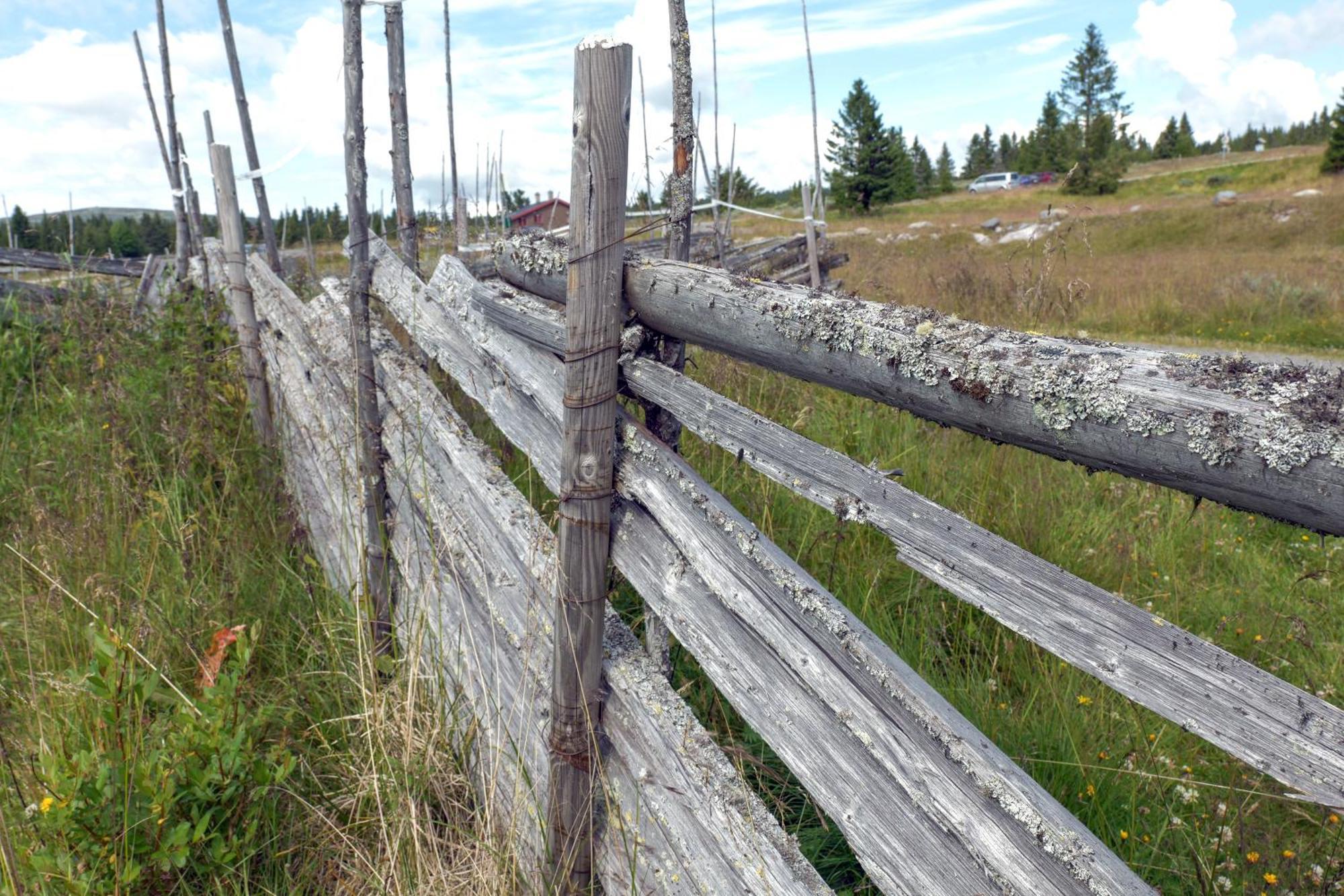 Lys Og Moderne Leilighet Rett Ved Skiloypa Pa Nordseter - Kort Vei Til Sjusjoen, Lillehammer Og Hafjell - Dyr Ikke Tillatt 外观 照片